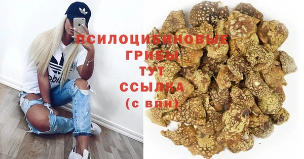 дурь Аркадак