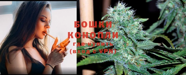 дурь Аркадак