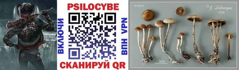 MEGA ссылки  Рудня  Псилоцибиновые грибы мицелий 